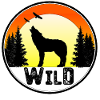 Wild - loup