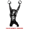 Calisthenics Evolution - Gymnastics Rings