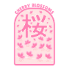 Cherry blossoms Sakura