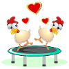 Chickens Pairs JUMPING TRAMPOLINE