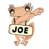 March 27 National Joe Day