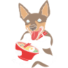 Rat Terrier