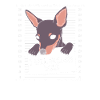 Pinscher nain
