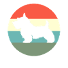Scottish Terrier