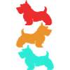 Scottish Terrier