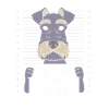 Schnauzer nain