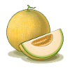 Honeydew