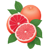 Grapefruit