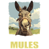 Maultiere Maultier