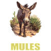 Mules Mule
