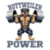 Rottweiler Power Gym Powerlifting Strength