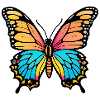 Bunter schöner Schmetterling