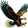 Eagle