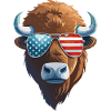 Bison head USAventures