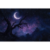 Night Landscape Illustration Poster