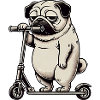 Drôle Pug Scooter Trottinette Kickroller