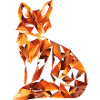 Fox Abstract Geometry