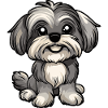 Havanese Dog Cute