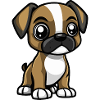 Boxer Chien Mignon