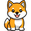 Shiba Inu Dog Cute