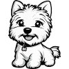 West Highland Terrier Dog Cute