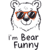 Funny bear with sunglasses