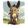 Donkey Esel