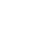 Crâne Palmiers 2
