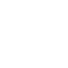 Master Painter Journeyman Painter