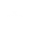Maître maçon Compagnon maçon