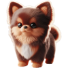 Cute small dog