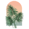 Areca-Palme