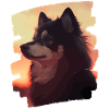 Finnish Lapphund