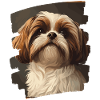 Shih Tzu
