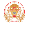 Cocker Spaniel