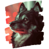 Finnish Lapphund