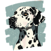 dalmatien