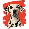 Dalmatian