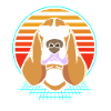Basset Hound