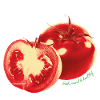 Tomatoes – Fresh Foodie Statement