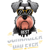 Schnauzer Hundebesitzer Riesenschnauzer