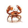 Crab Crab Beer Funny