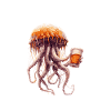 Méduse bière drôle