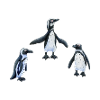 Pingouins