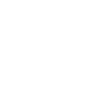 PINEAPPLE Ananas