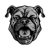 Tête de chien bouledogue