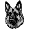 German Shepherd Dog Head