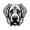 Kangal Dog Head