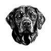 Labrador Dog Head