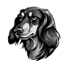 Dachshund Dog Head Dachshund